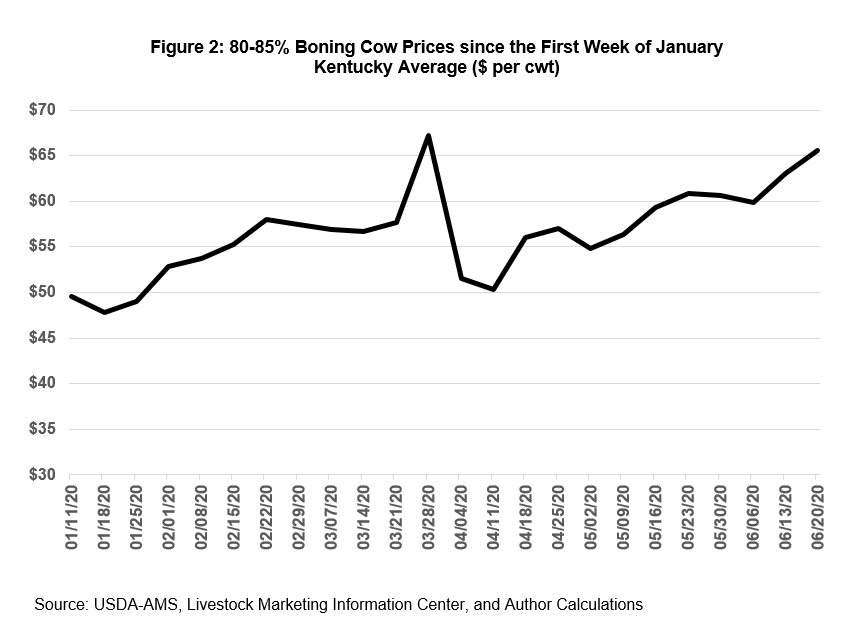 Graph of 80-85% Boning Cow Prices since the First Week of January