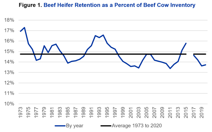 Graph of Beef Heifer Retention as a Percent of Beef Cow Inventory