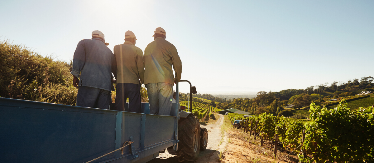 three farm workers standing on a trailer behind a tractor