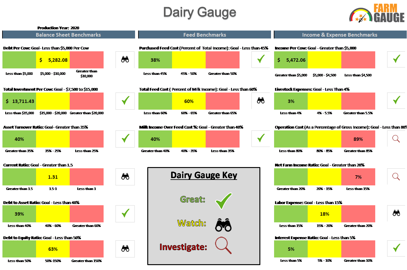 Dairy Gauge Scorecard