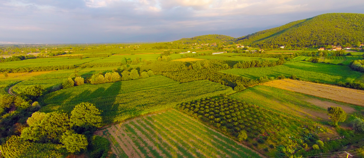 Drone photo of farmland