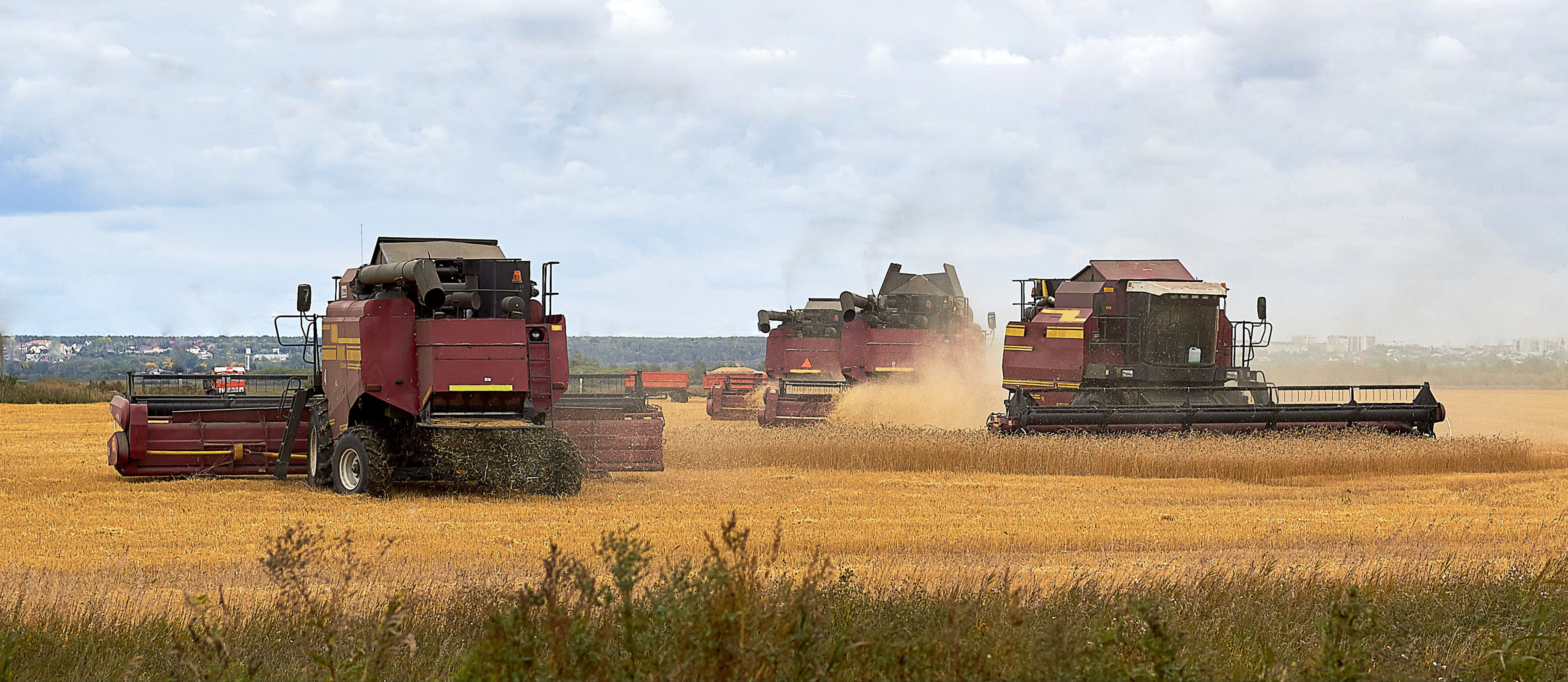 Field being harvested