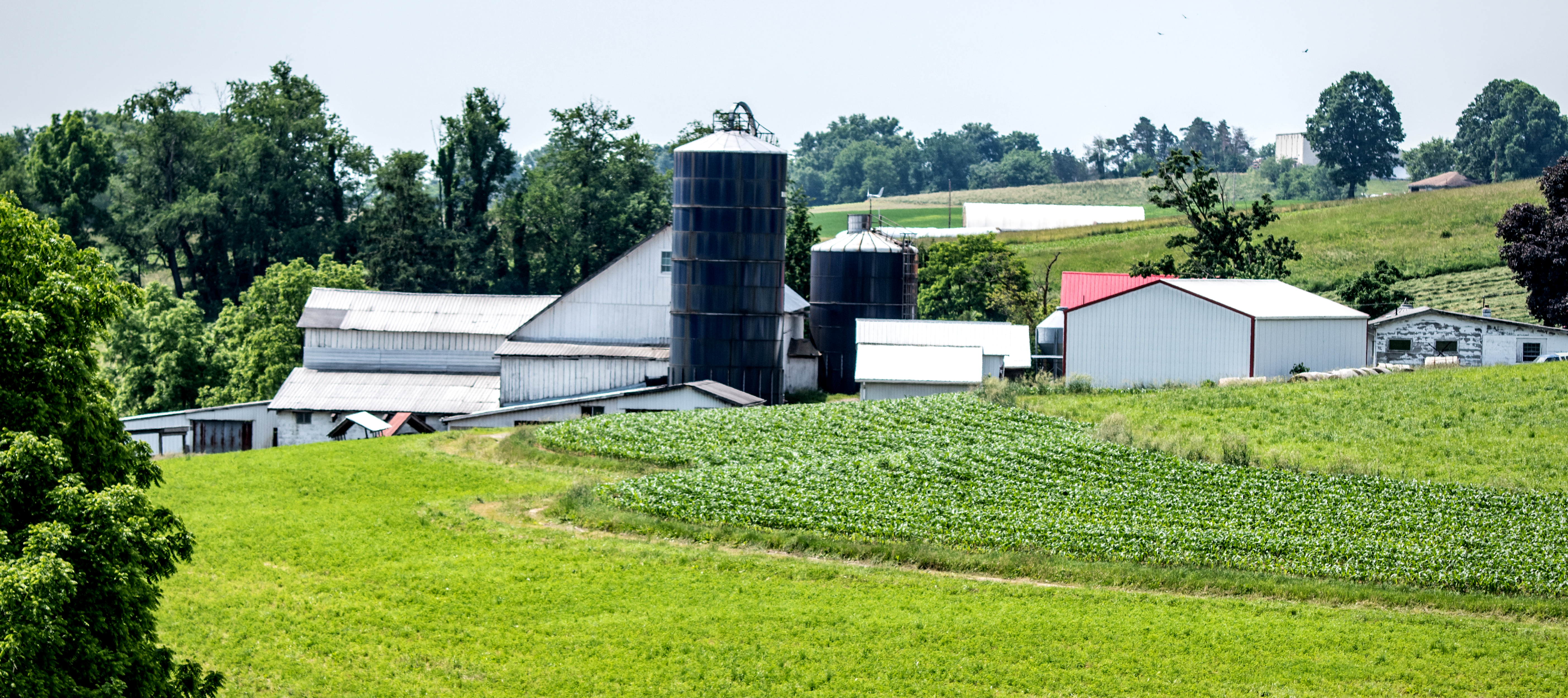 Image of a Kentucky farm