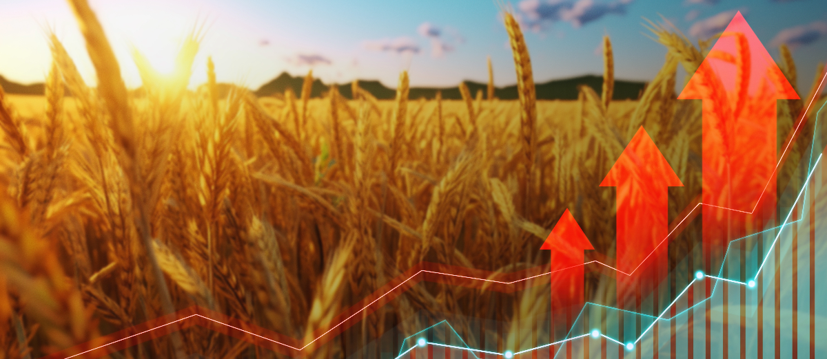 Wheat field in background with graph lines depicting rising rates