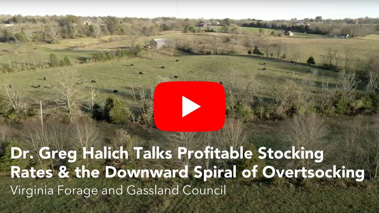 Greg Halich Talks Profitable Stocking Rates & the Downward Spiral of Overstocking
