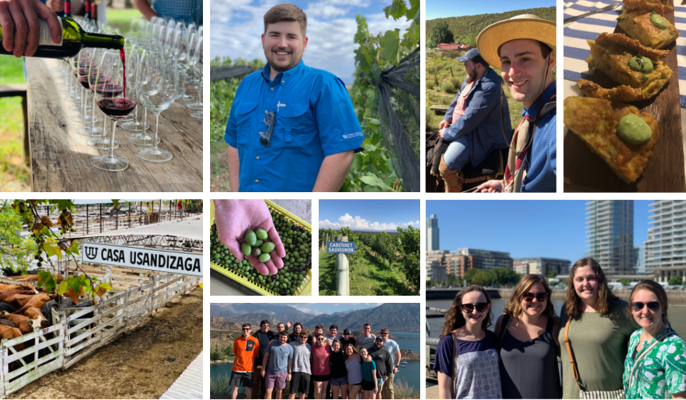 Collage of photos from education abroad 2019 trip to Argentina
