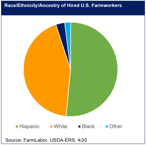 Graph of Race/Ethnicity/Ancestry of Hired U.S. Farmworkers