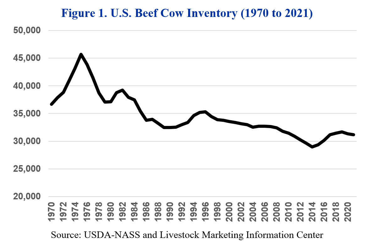 Graph of U.S. Beef Cow Inventory (1970 to 2021)