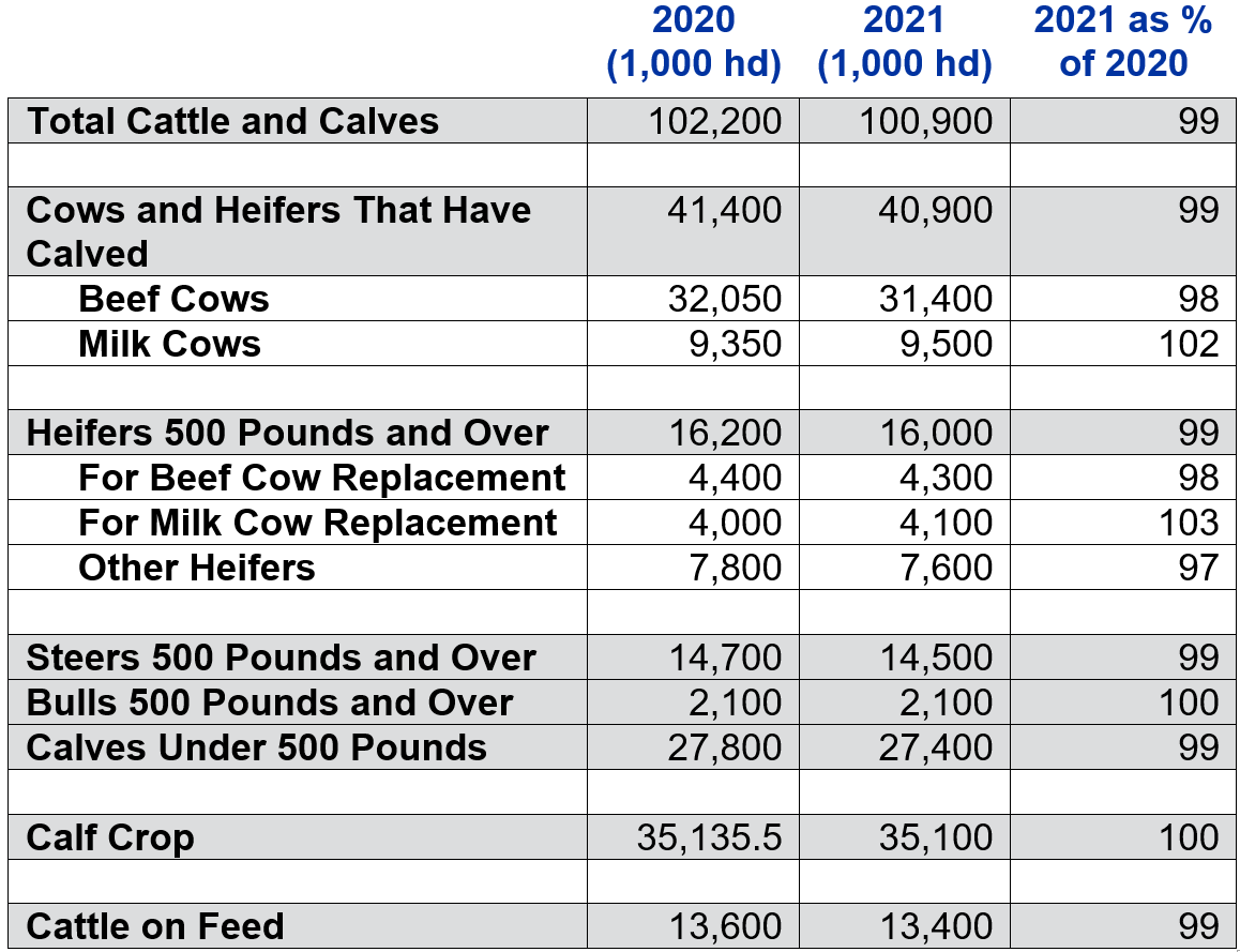 Table 1. USDA July 1, 2021 Cattle Inventory Estimates 