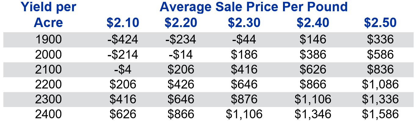 Table 1: 2023 Burley per acre Return Above Variable Costs at Varying Yields and Prices