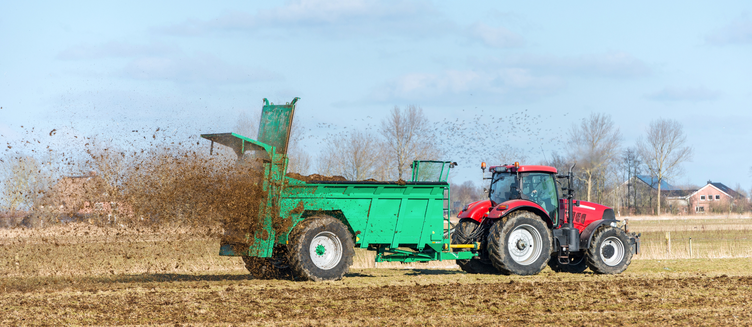 Tractor with manure/litter spreader on the field