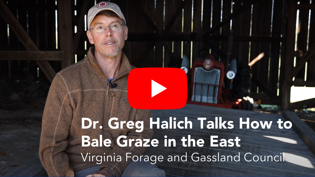 Dr. Greg Halich Talks How to Bale Graze in the East | Virginia Forage and Grassland Council