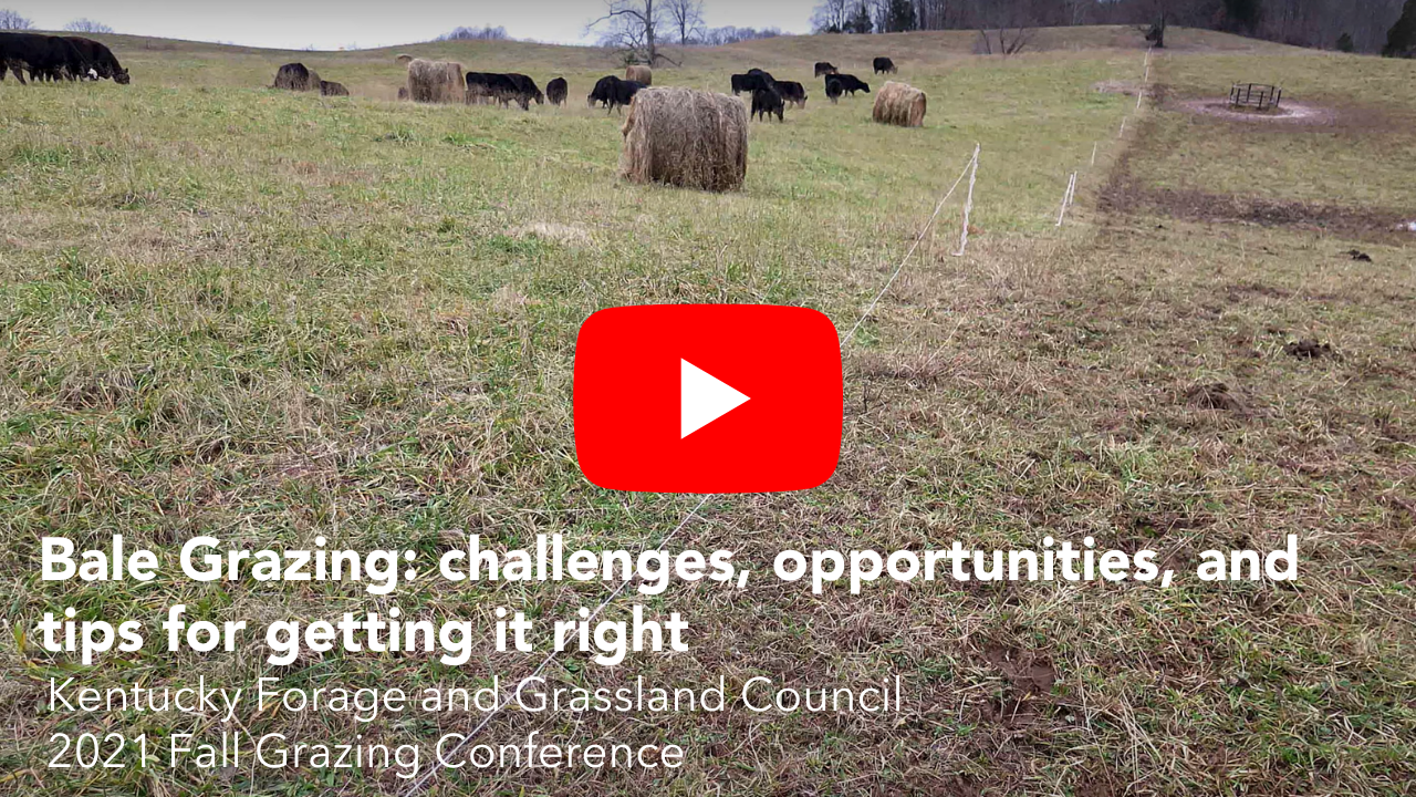 click to watch and hear Greg Halich presenting Bale Grazing in the East at the 2021 Kentucky Forage and Grassland Council Fall Grazing Conference