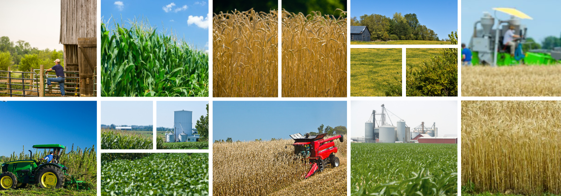 Collage of photos from Kentucky farms