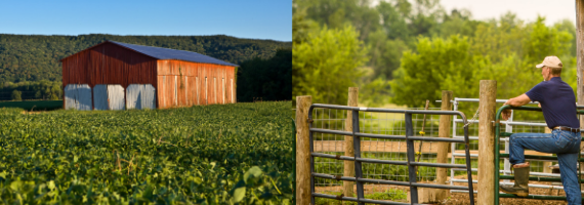Kentucky farming landscapes.