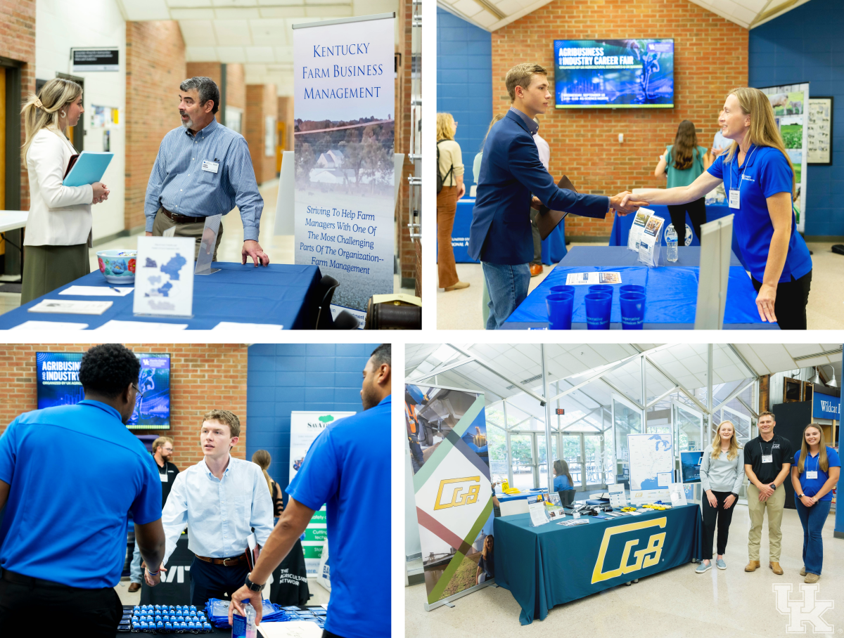 Various scenes of attendees interacting with recruiters at a job fair, highlighting the pursuit of employment and professional growth