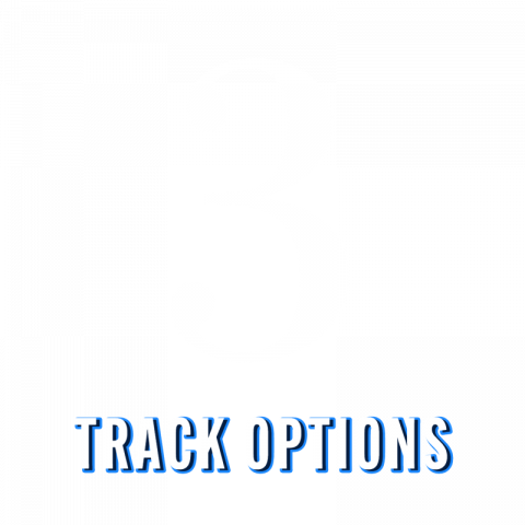3 Tracks Options