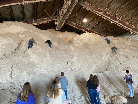 Agribusiness Club Texas trip 2022 climbing a pile of cotton