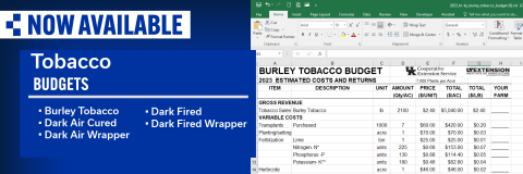 Now Available: Tobacco Budgets